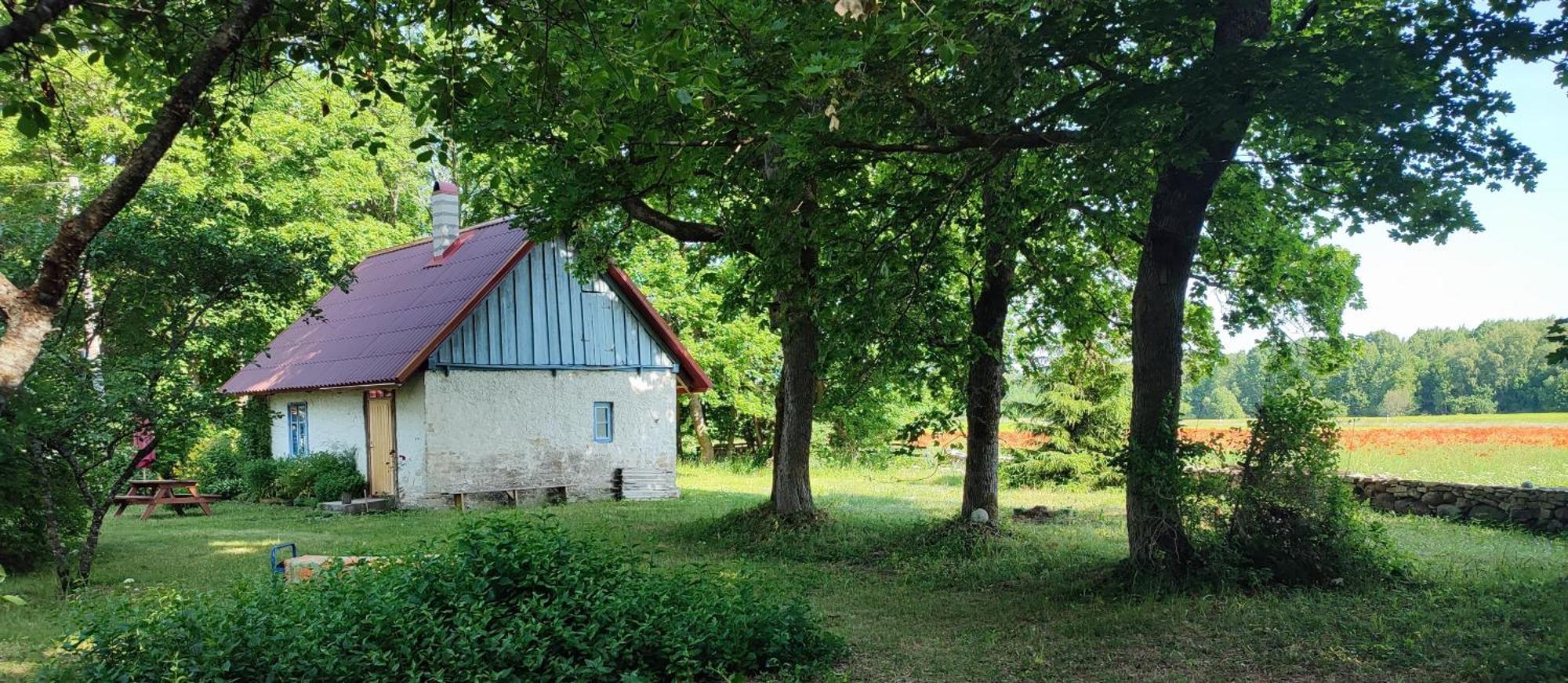 Mustjala Viini Puhkemaja 게스트하우스 외부 사진